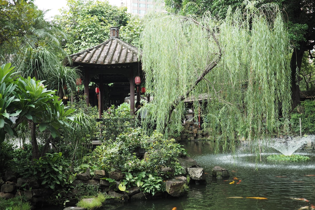 Organic herbal products arranged on stone